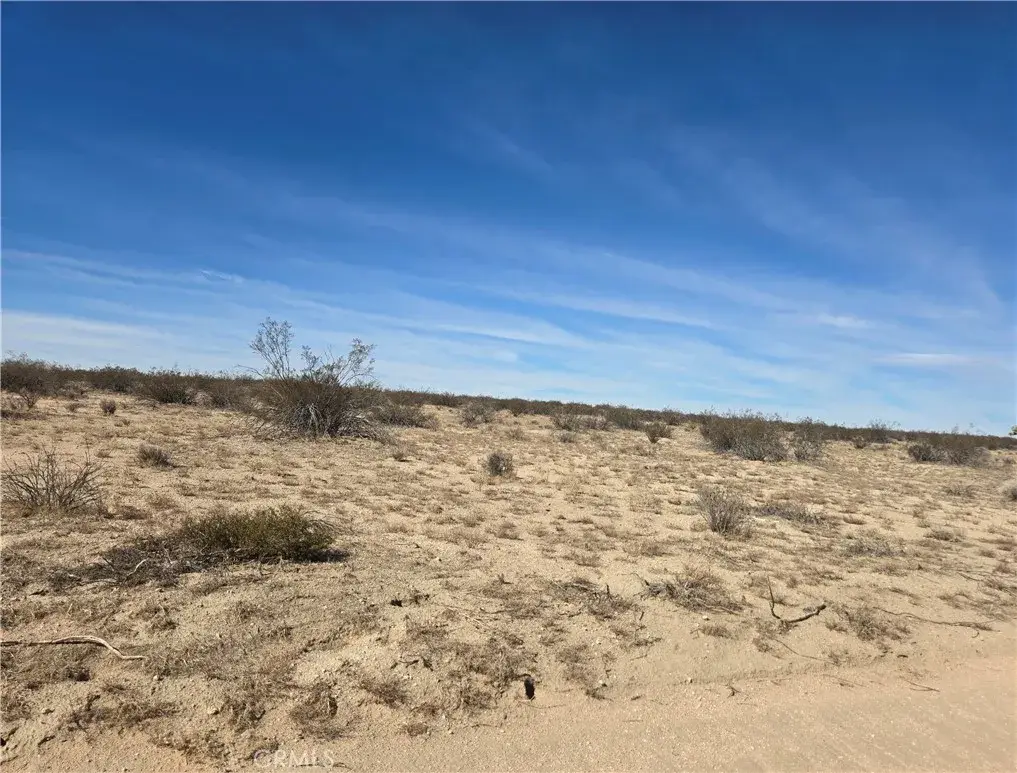 42924 250th, Lancaster, CA 93535 - Image #1