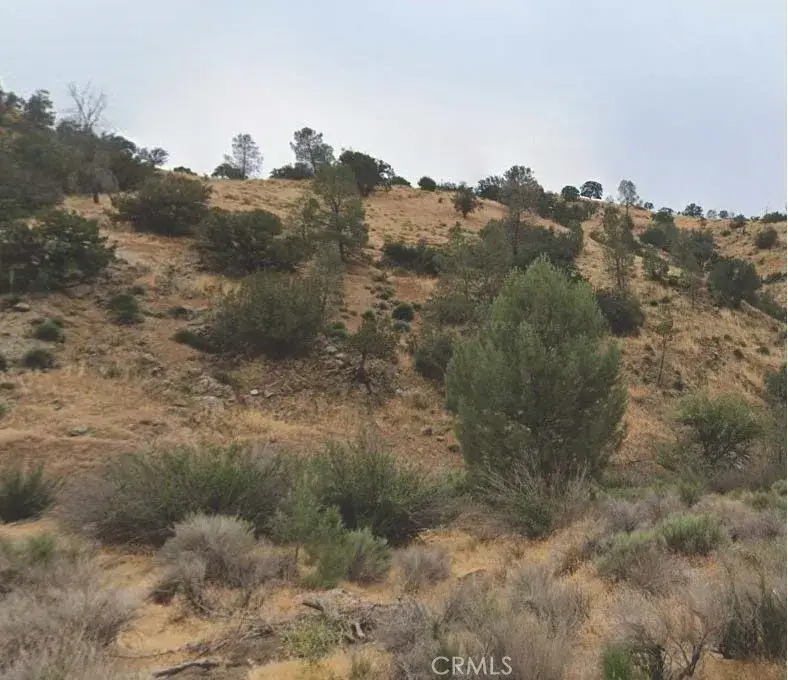 35000 Sand Canyon, Caliente, CA 93518 - Image #1