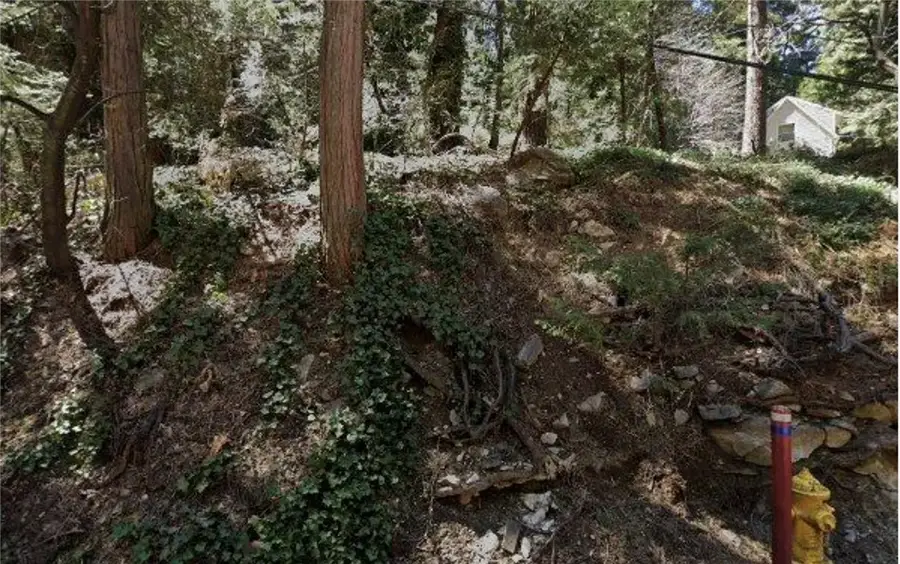 630 Community Dr, Lake Arrowhead, CA 92352 - Image #2