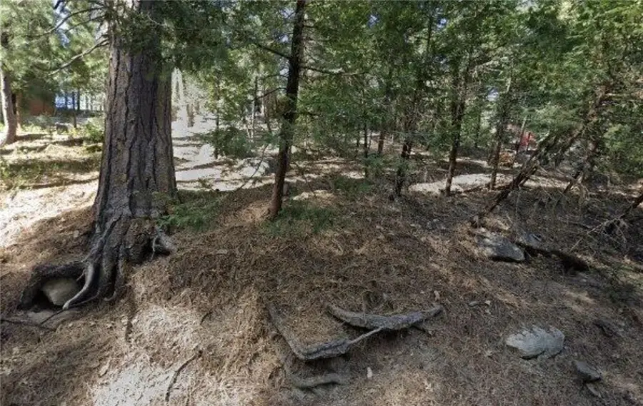 25547 Mid Ln, Twin Peaks, CA 92391 - Image #2