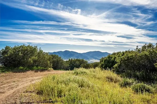 48725 Shallow Springs Road North, Leona Valley, CA 93551