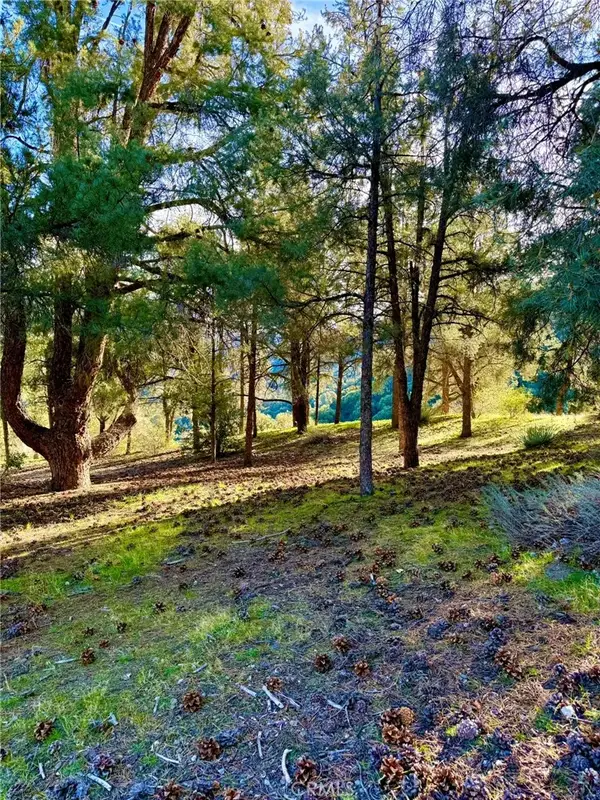 2604 Tirol, Pine Mountain Club, CA 93225