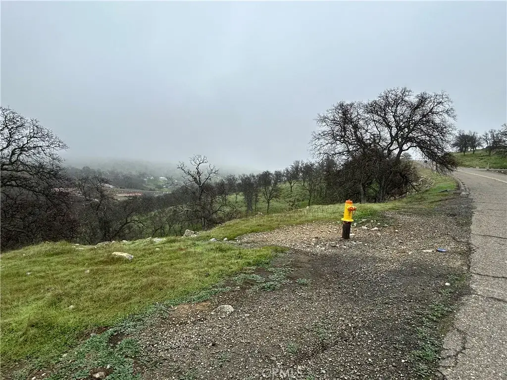 9784 Torito, La Grange, CA 95329 - #1