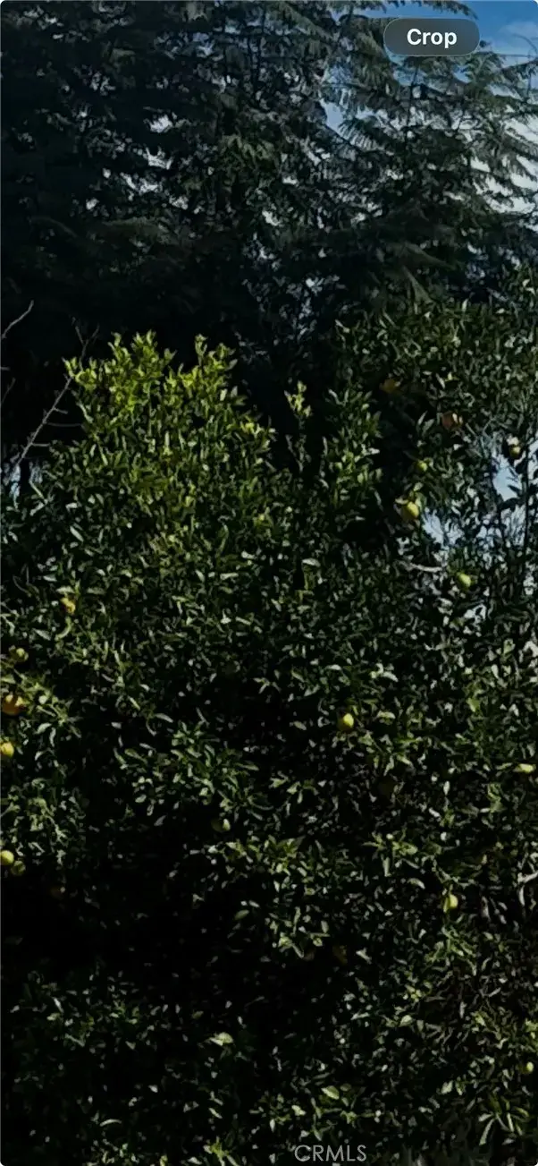 9667 Hillheaven, Tujunga, CA 91042 - #1