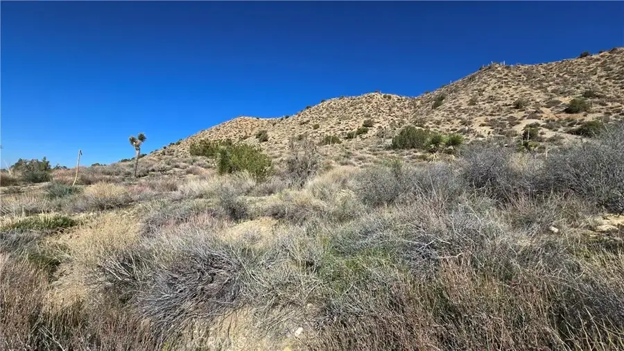 0 Pinon Road To Mescal Highlands, Llano, CA 93544 - #3