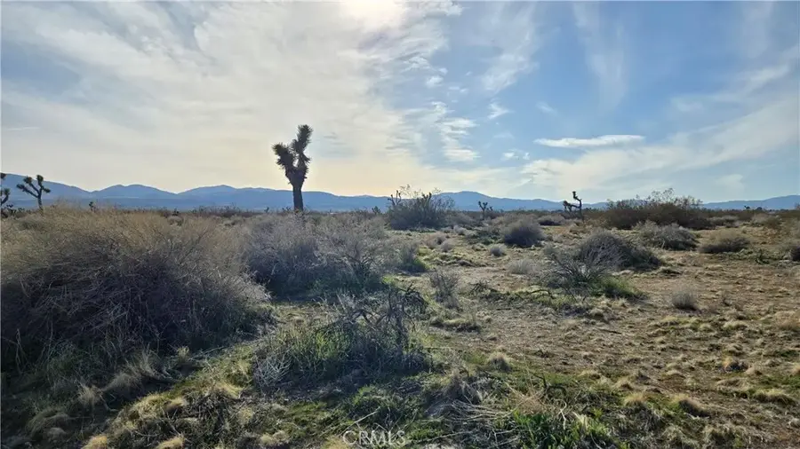 0 115th St East S/o Ave S South, Littlerock, CA 93543 - Image #2