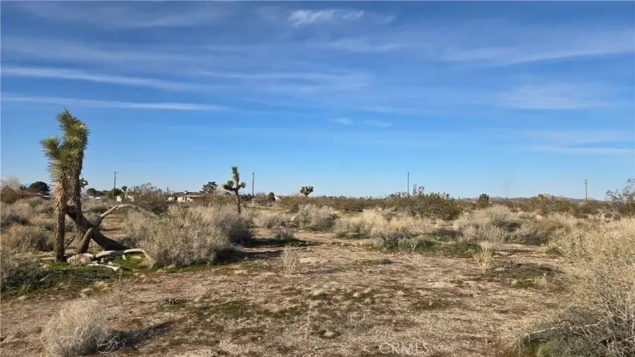 0 115th St East S/o Ave S South, Littlerock, CA 93543 - Image #3