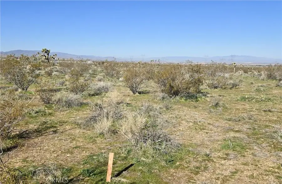 105 E Ave V8 & 106th E, Pearblossom, CA 93553 - #3