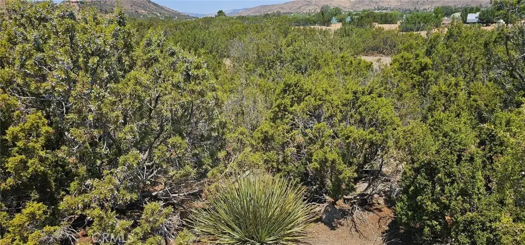 0 Easy, Acton, CA 93510 - #1