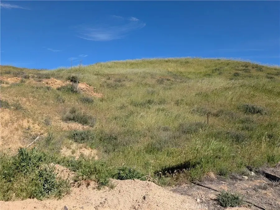 8401 Sierra, Agua Dulce, CA 91390 - #2