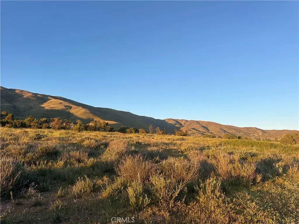 2 Hannah Ct Shannondale, Acton, CA 93510 - #1