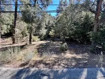 15718 Mil Potrero Hwy, Pine Mountain Club, CA 93222 - #2