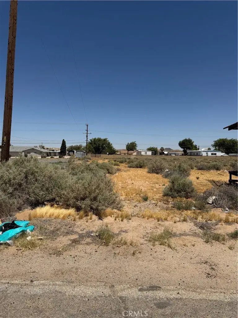 0 Twenty Mule Team Road, Boron, CA 93516 - #3