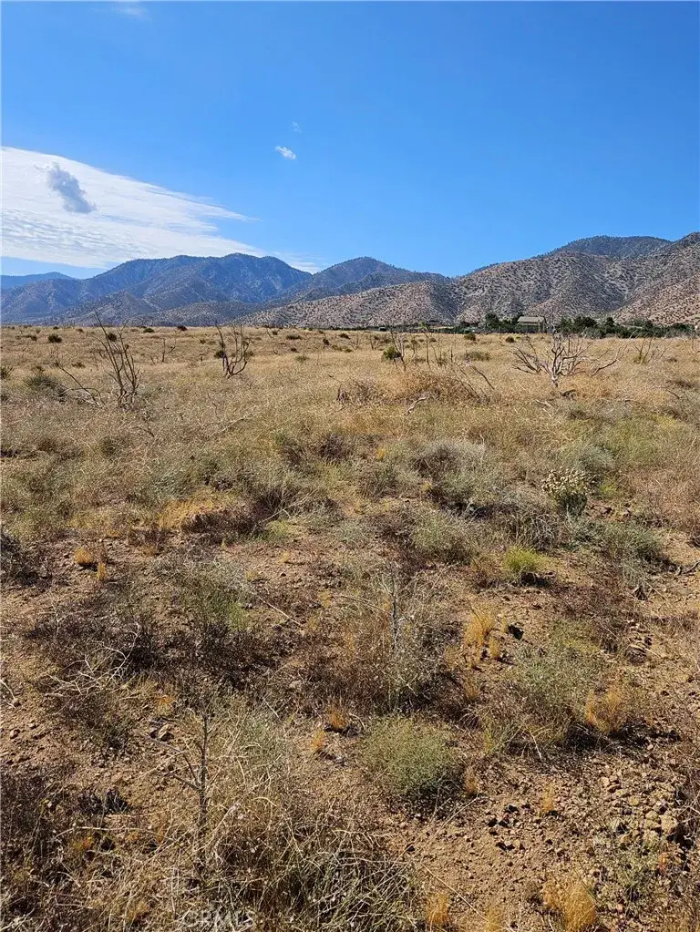 116 E Street East, Juniper Hills, CA 93543 - #1