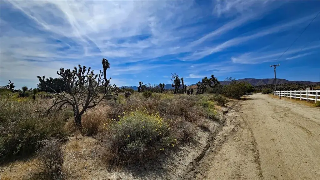 0 103rd St East Vicinity W14, Juniper Hills, CA 93543 - #1