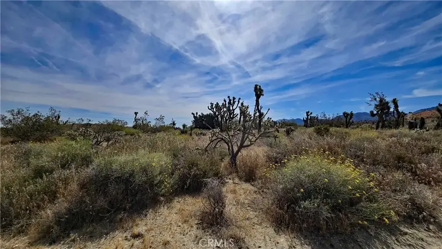 0 103rd St East Vicinity W14, Juniper Hills, CA 93543 - #2