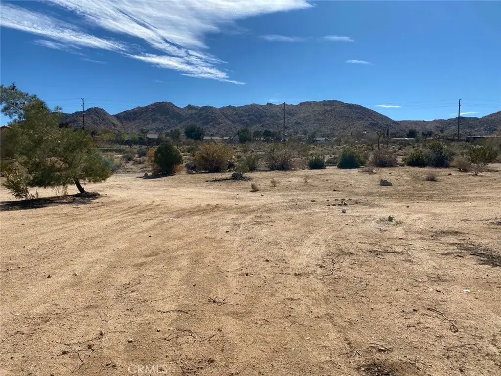 60450 Alta Mesa, Joshua Tree, CA 92252 - #1
