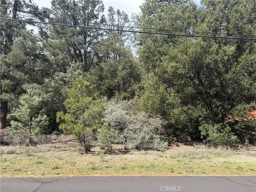 1709 Zion, Pine Mountain Club, CA 93222 - #3
