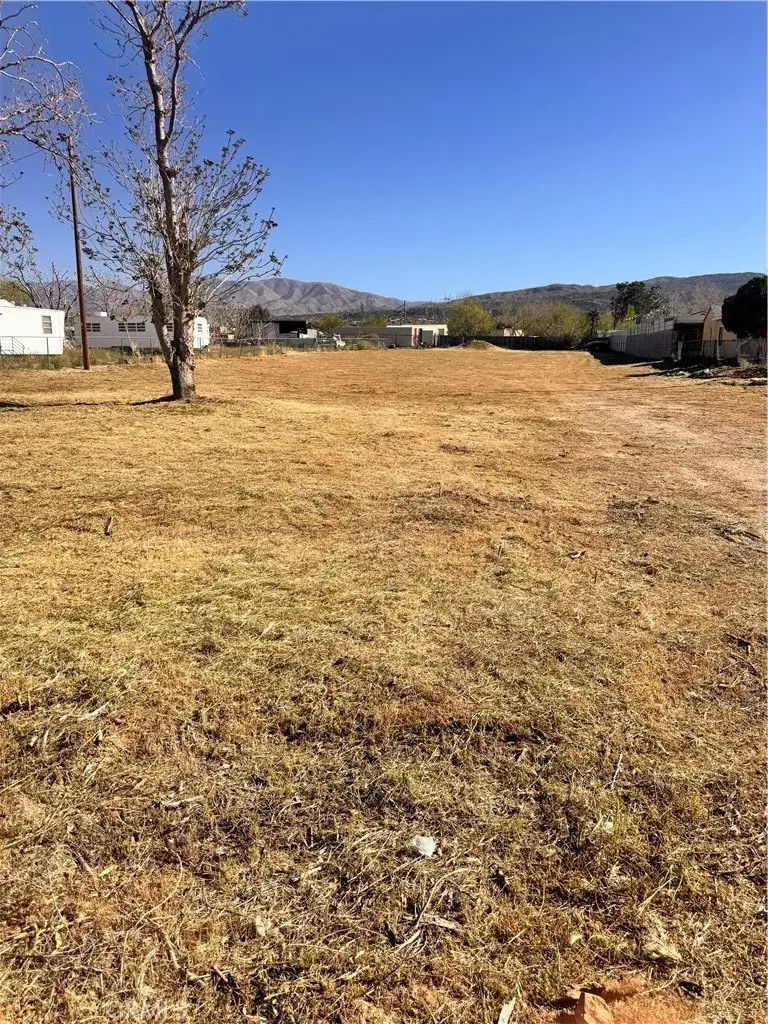 8026 Pearblossom, Littlerock, CA 93543 - #3