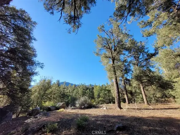15913 Wildwood, Pine Mountain Club, CA 93222