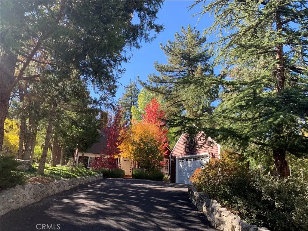 2205 Fernwood, Pine Mountain Club, CA 93222 - #1
