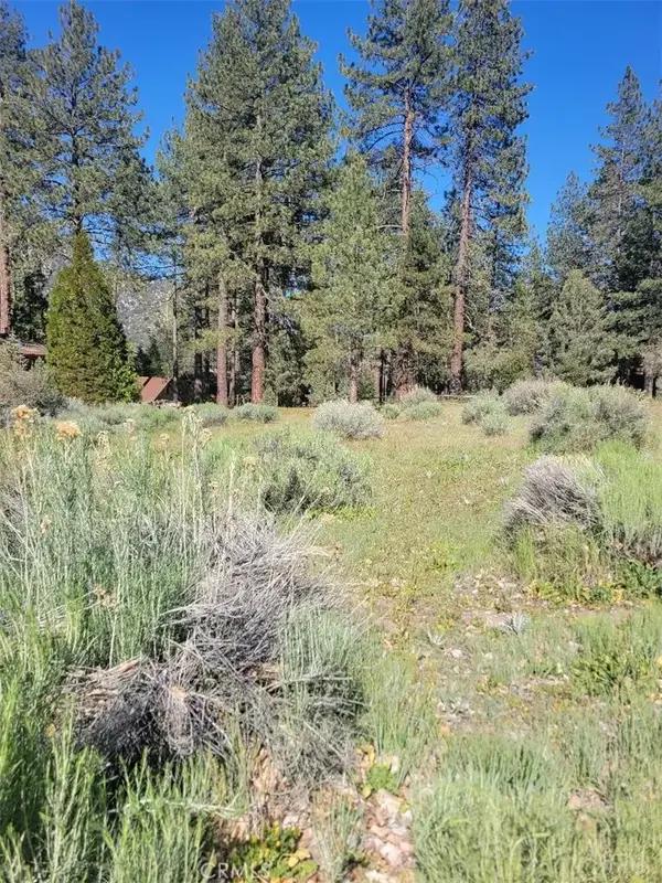 2612 Brentwood, Pine Mountain Club, CA 93222