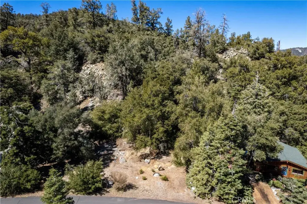 1301 Bernina, Pine Mountain Club, CA 93222 - #1