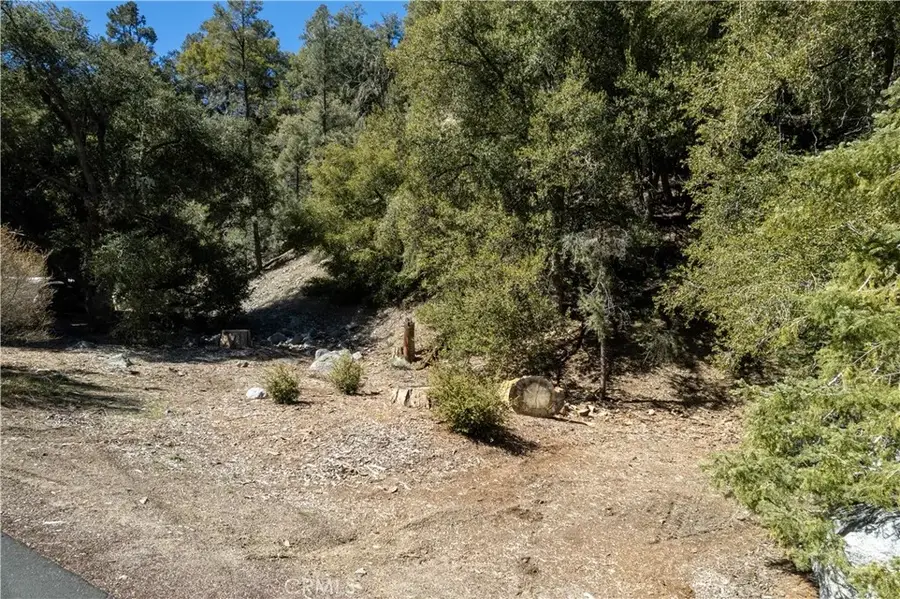 1301 Bernina, Pine Mountain Club, CA 93222 - #2