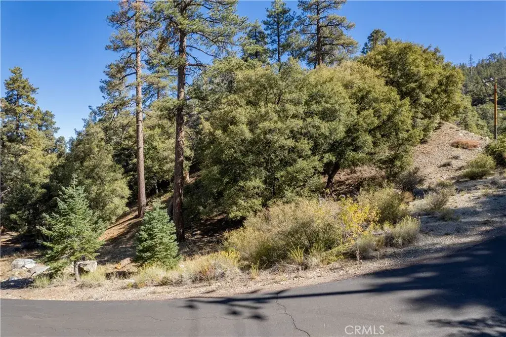 1216 Banff, Pine Mountain Club, CA 93222 - #1