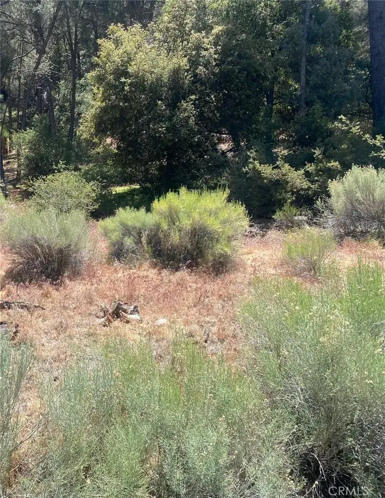 13708 Yellowstone, Frazier Park, CA 93225 - #1