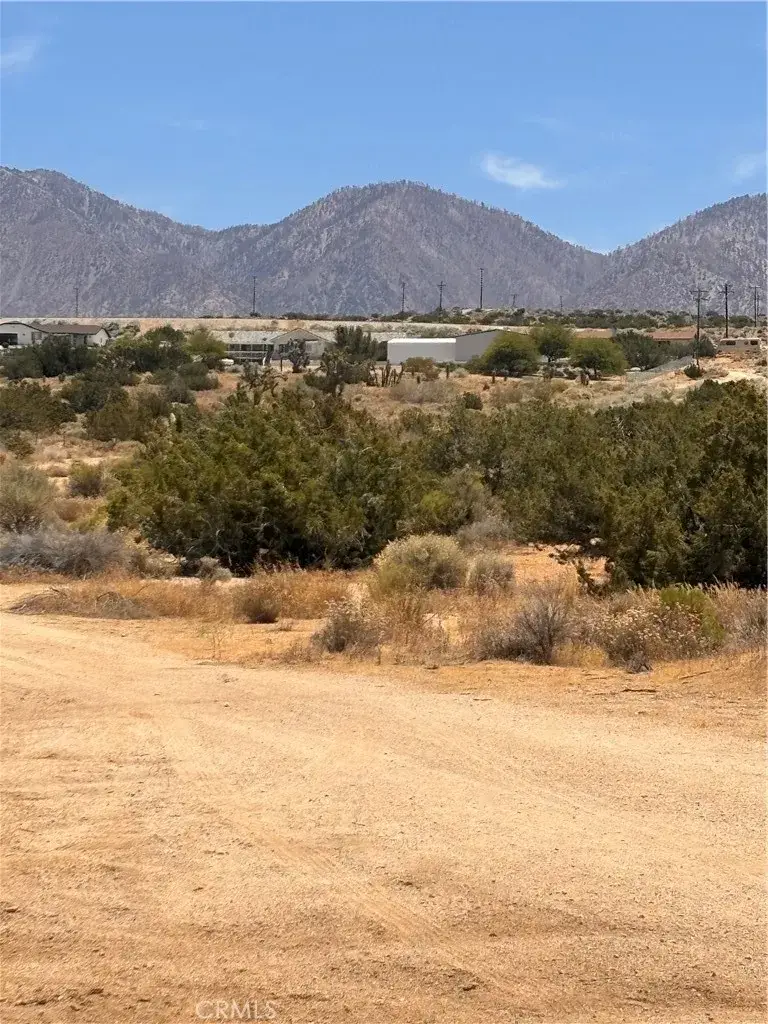 0 126th, Pearblossom, CA 93553 - #1