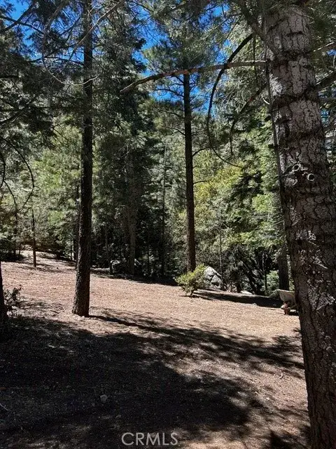 1221 Azalea Dr, Pine Mountain Club, CA 93222 - #1