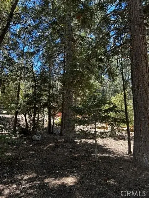1221 Azalea Dr, Pine Mountain Club, CA 93222 - #2