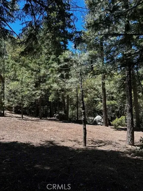 1221 Azalea Dr, Pine Mountain Club, CA 93222 - #3