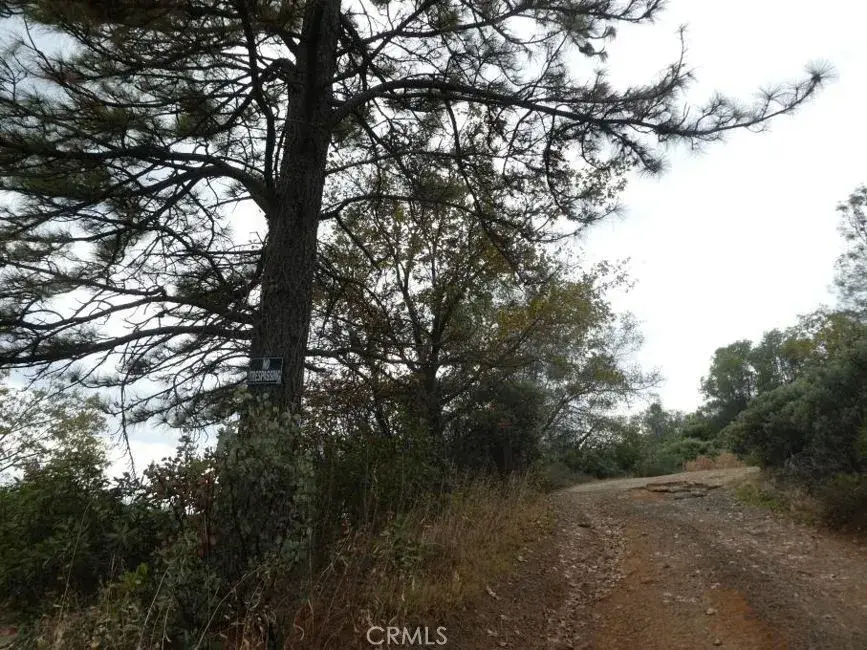 105 Top View Court, Oroville, CA 95966 - #1