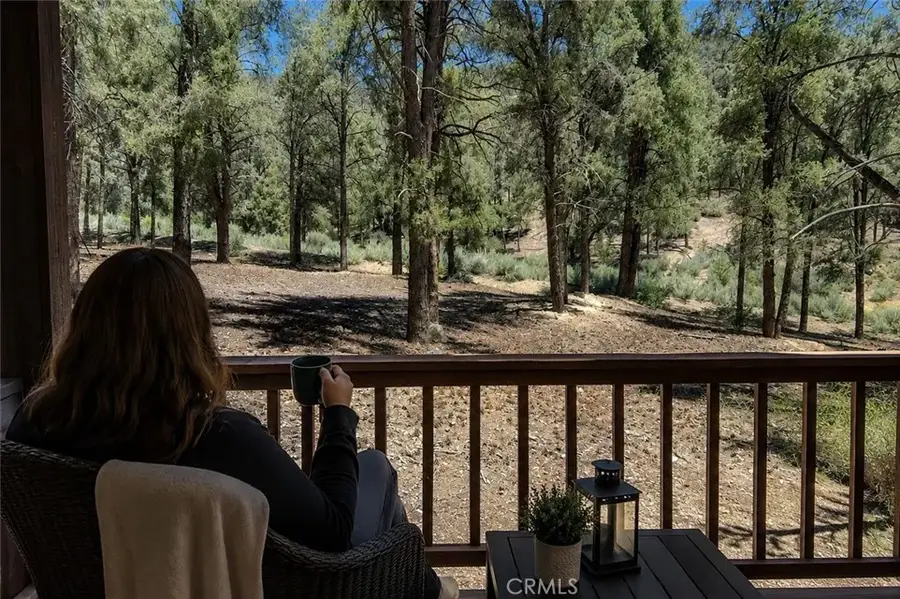 16525 Grizzly, Pine Mountain Club, CA 93222 - #2