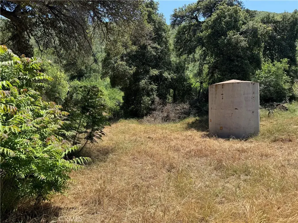0 San Francisquito Canyon, Green Valley, CA 91390 - #1