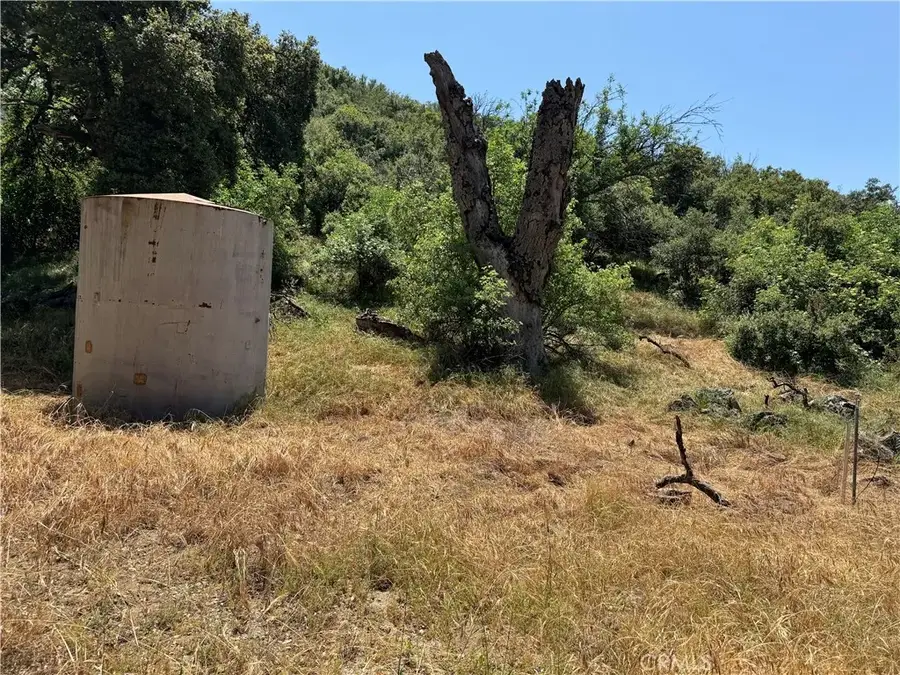 0 San Francisquito Canyon, Green Valley, CA 91390 - #3