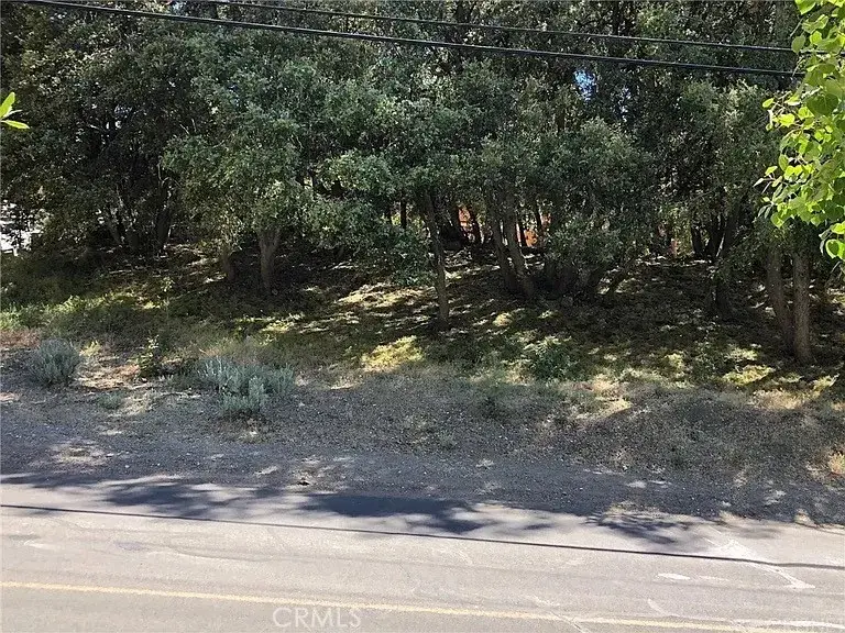 2117 Alder Ct, Pine Mountain Club, CA 93222 - #1