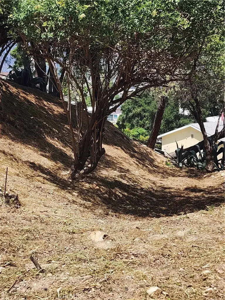7095 Flora Morgan Trl, Tujunga, CA 91042 - #2