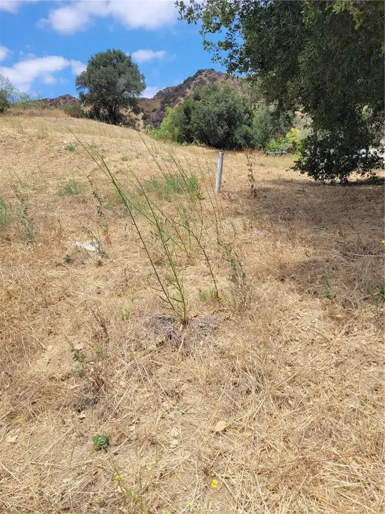 0 San Martinez Rd., Val Verde, CA 91384 - #2