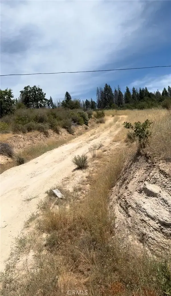 1651 Summit Creek, Hayfork, CA 96041