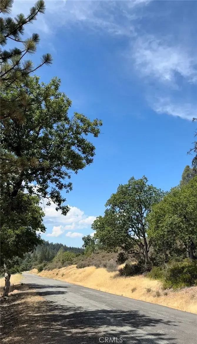 1651 Summit Creek, Hayfork, CA 96041 - #3