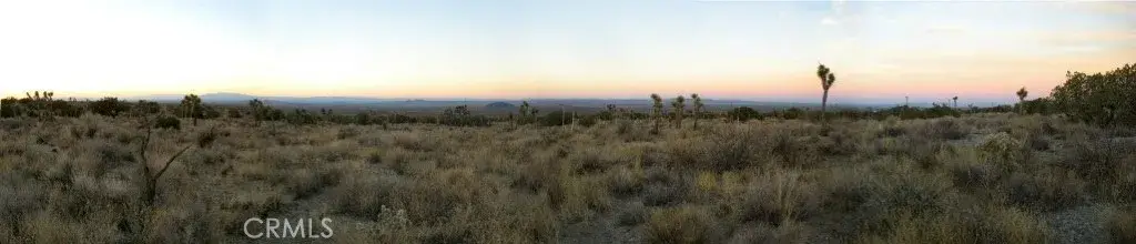 223 Avenue Y14, Llano, CA 93544 - #1