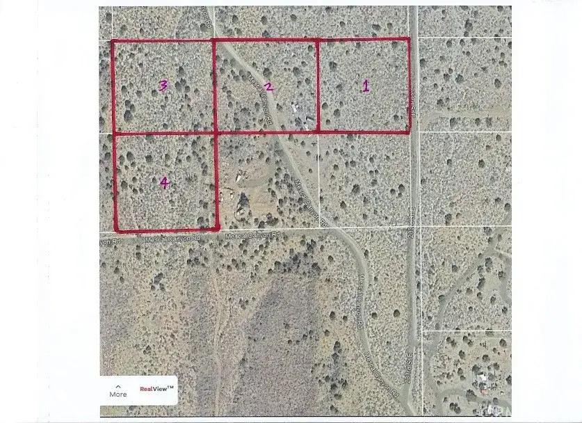 223 Avenue Y14, Llano, CA 93544 - #3