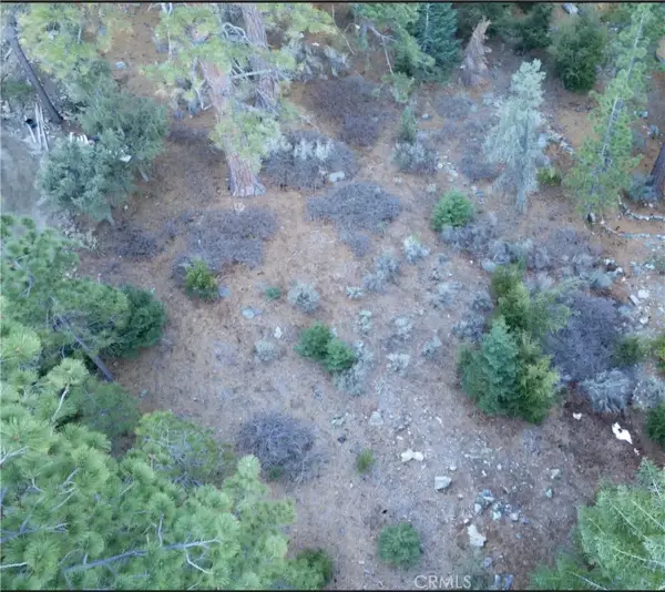 15024 Chestnut, Pine Mountain Club, CA 93222