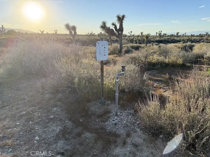 0 Ave X/220, Llano, CA 93544 - #3