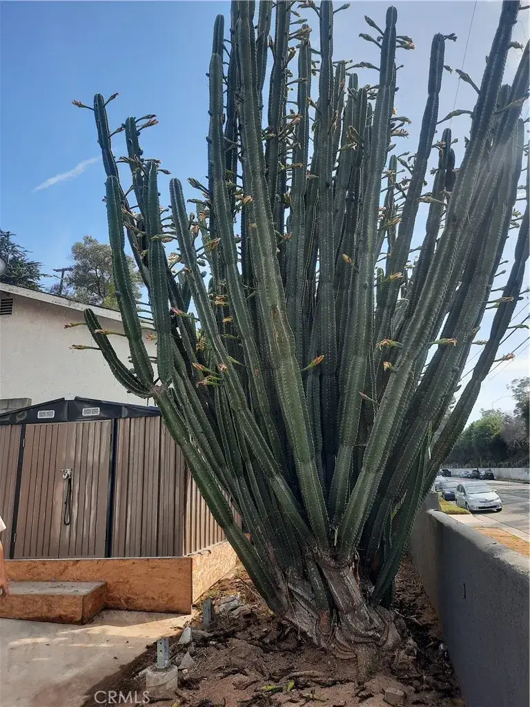 2066 El Moran Street East, Los Angeles, CA 90039 - #3
