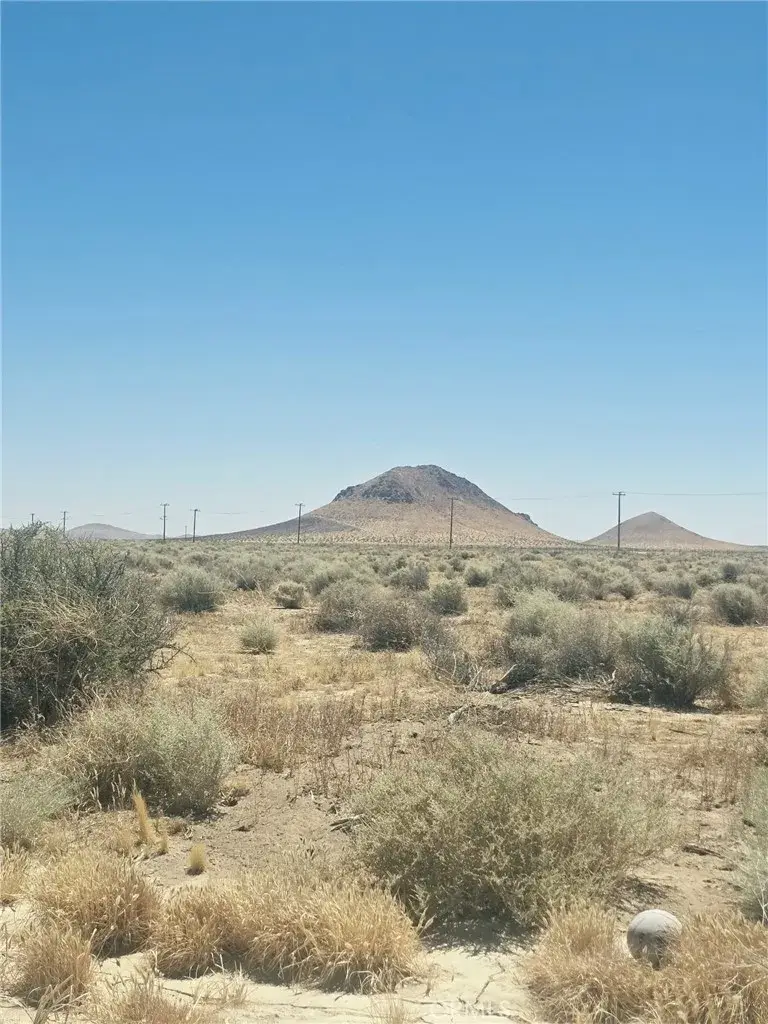 477 Tanbark, California City, CA 93505 - #3