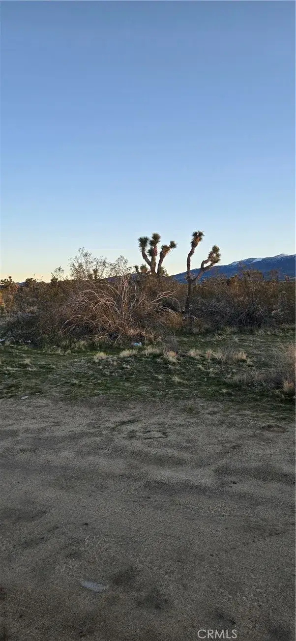 253 Vac/vic, Lake Los Angeles, CA 93591 - #2